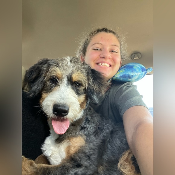 Meet your Posher, Eliana - Picture 9 of 14